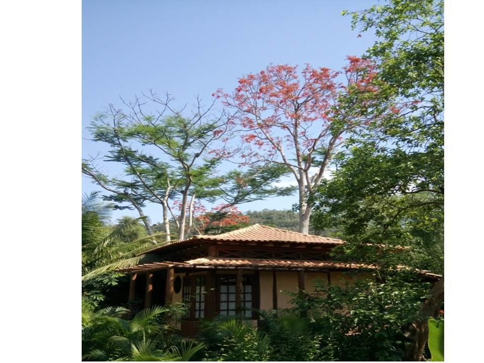 Paraty Villa D'Agua Temporada 외부 사진